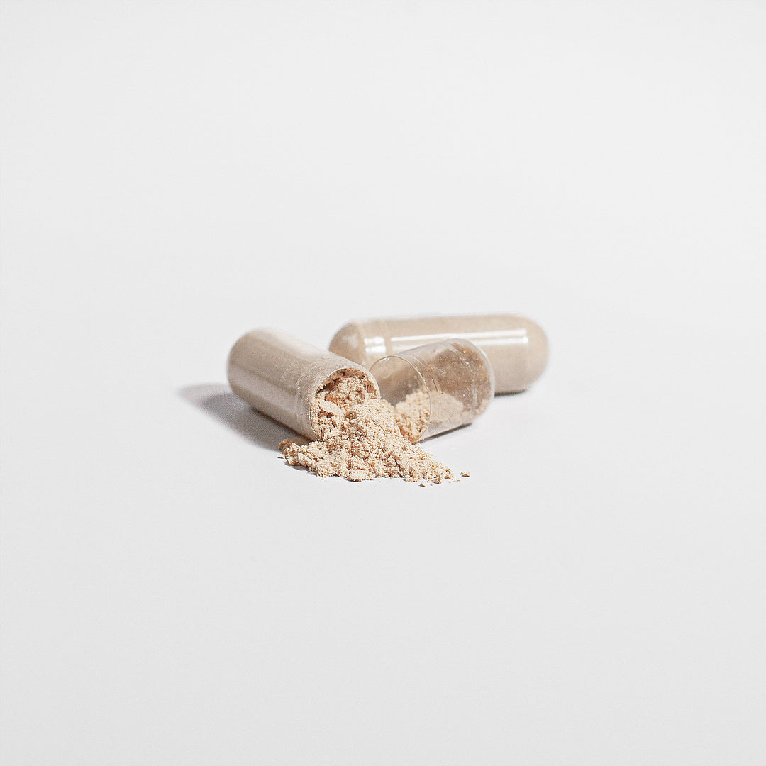 TRUFUNGI - Cordyceps Mushroom - QLIFE Wellness