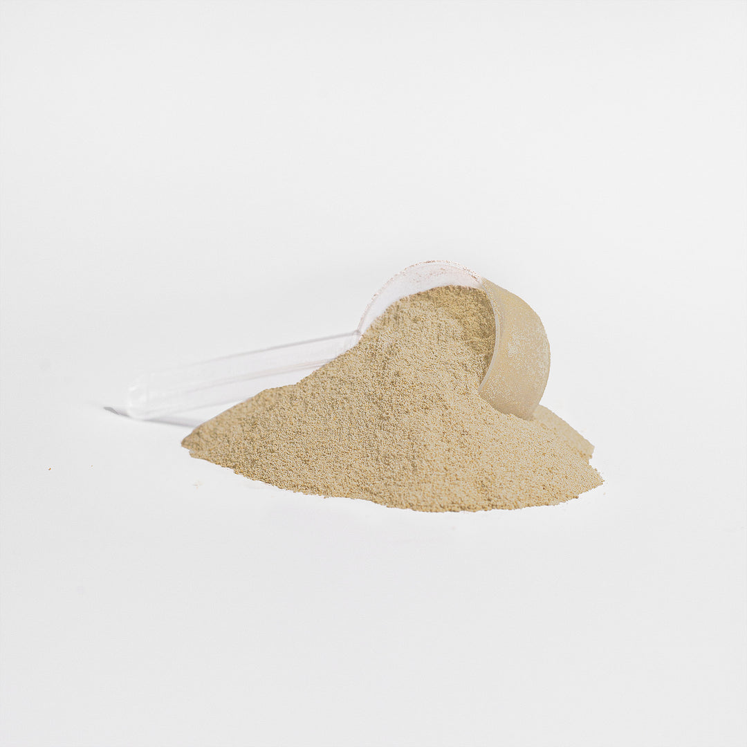 HEALTHIQ Whey Protein Isolate (Vanilla) - QLIFE Wellness