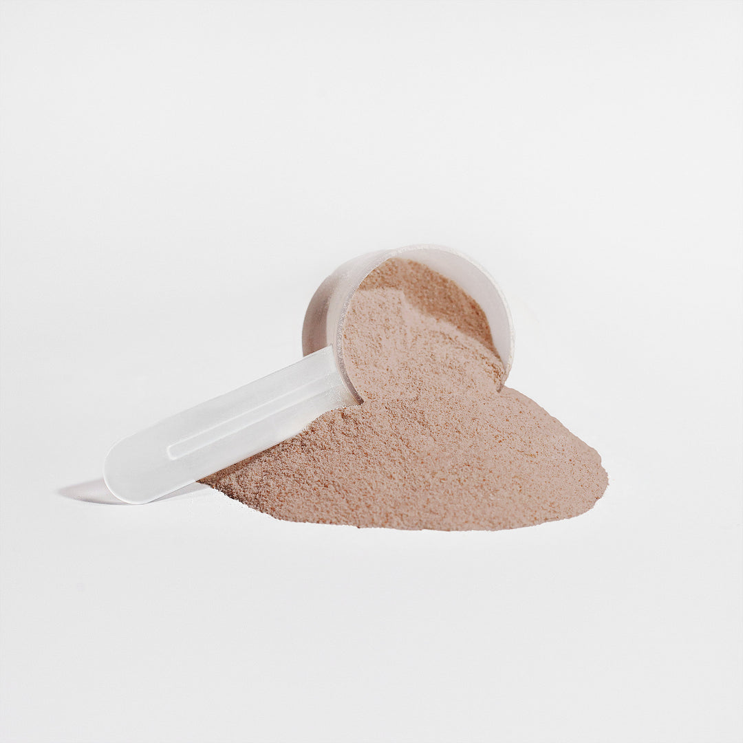 HEALTHIQ Plant Protein (Chocolate) - QLIFE Wellness