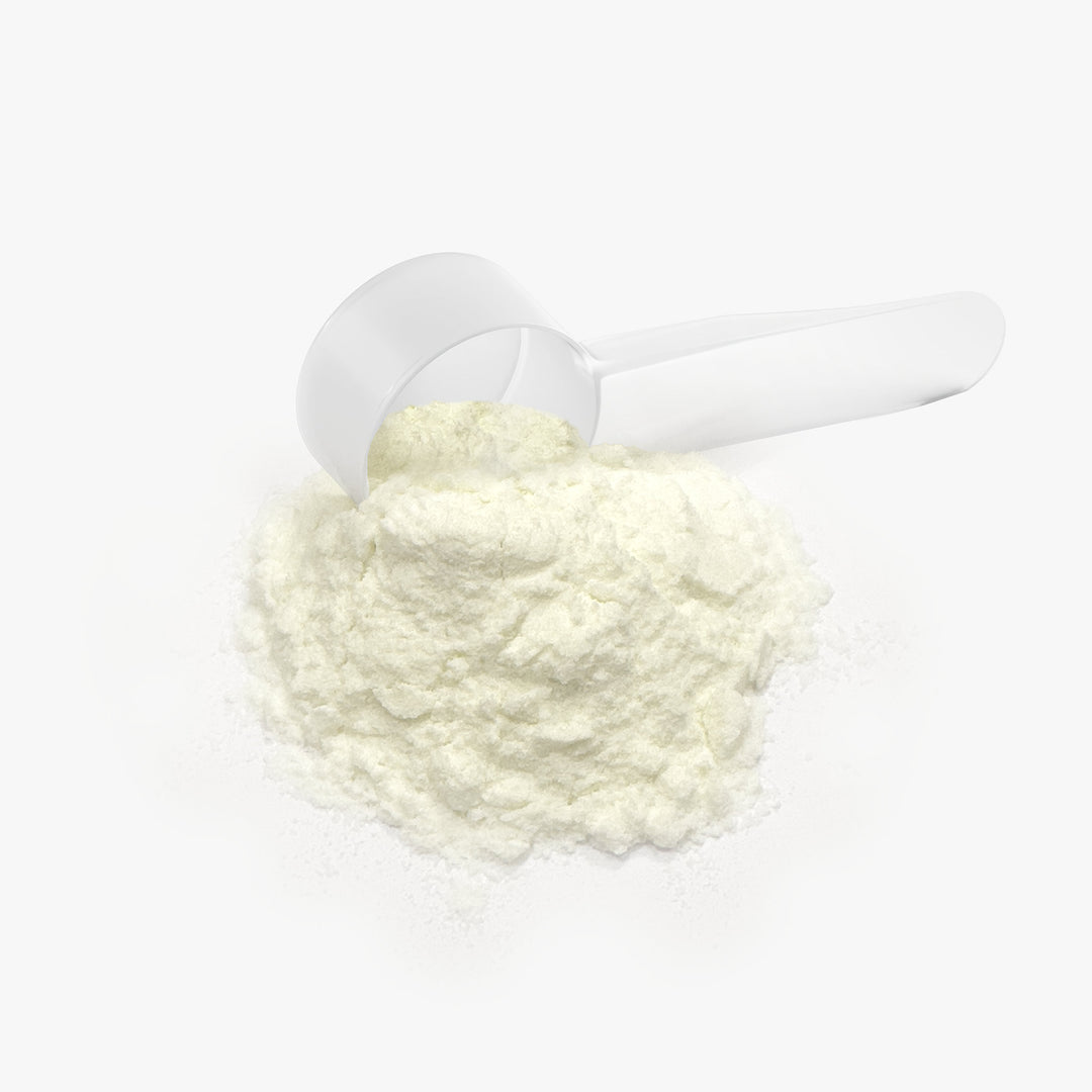 QLIFE Happy Gut Colostrum Powder - QLIFE Wellness