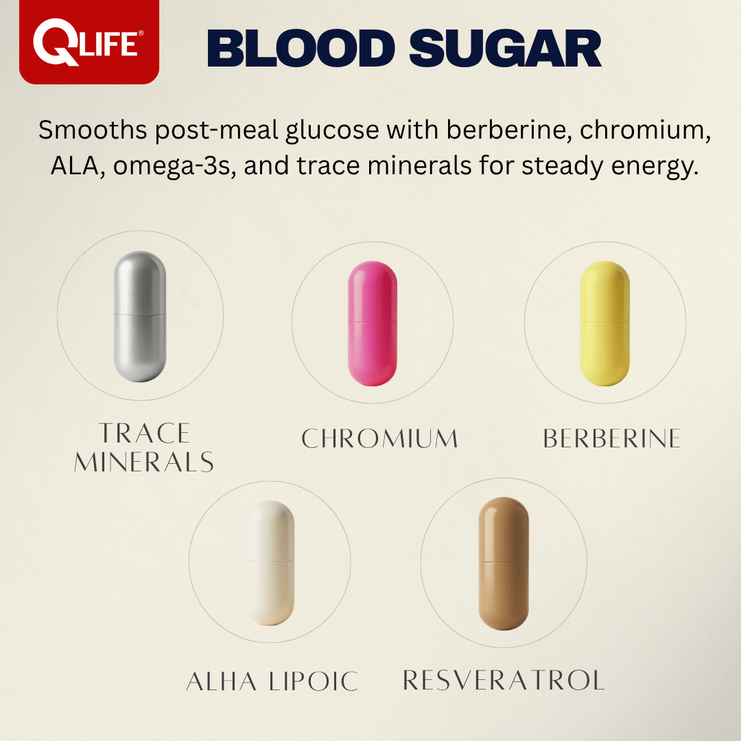QLIFE Blood Sugar Support - 30 Packs - QLIFE Wellness